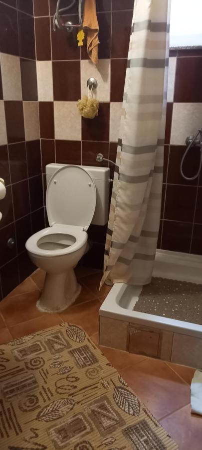 Apartmani Kunjasic Trstenik  Exterior foto